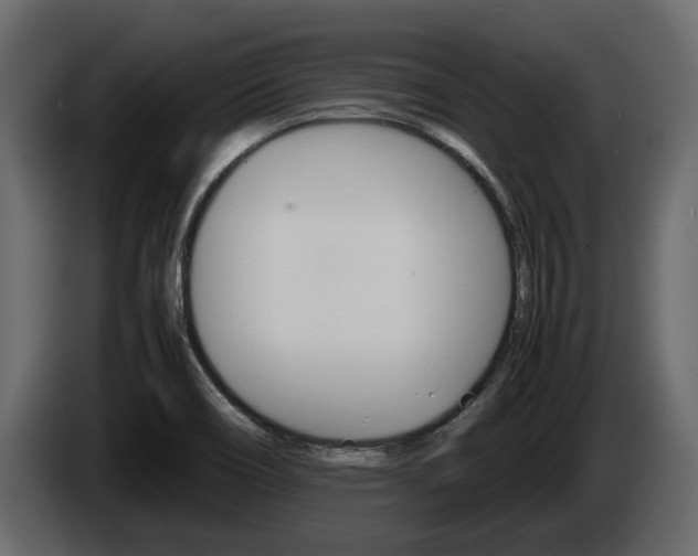 X0000086011466200703230900