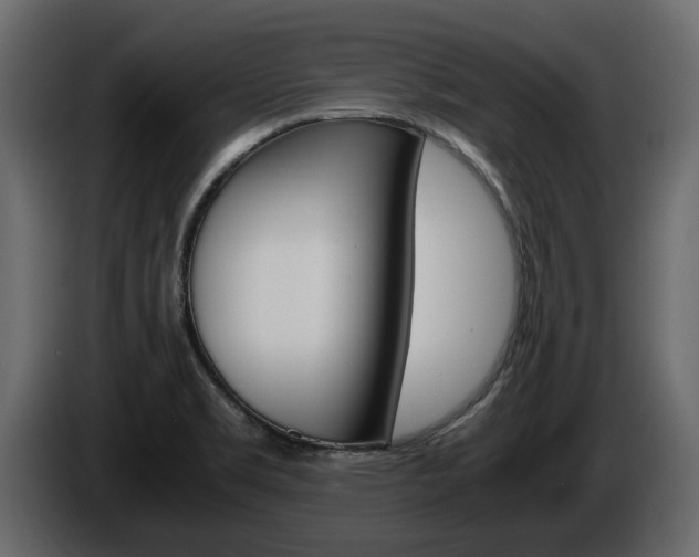 X0000086011469200703230900