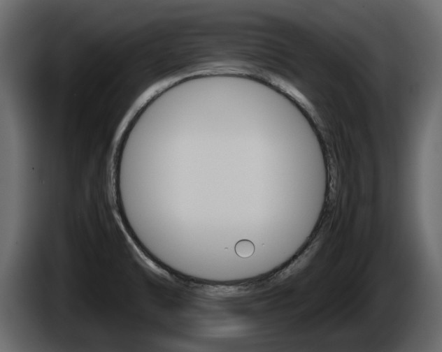 X0000086011470200703230900