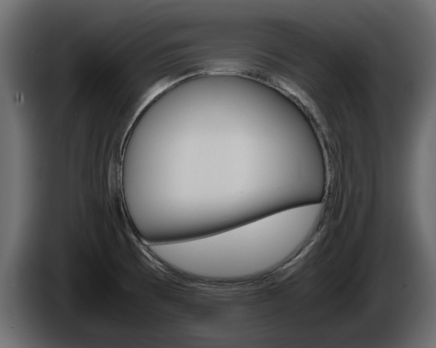 X0000086011473200703230900