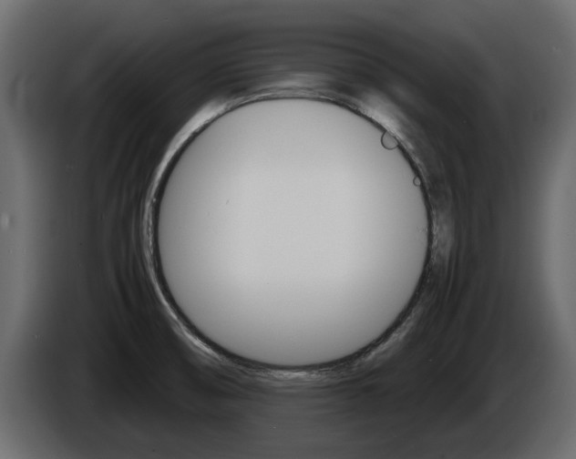 X0000086011474200703230900