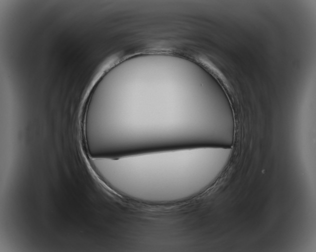 X0000086011475200703230900