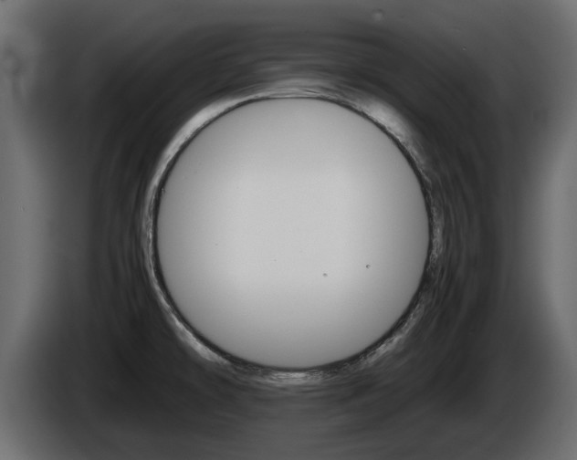 X0000086011478200703230900