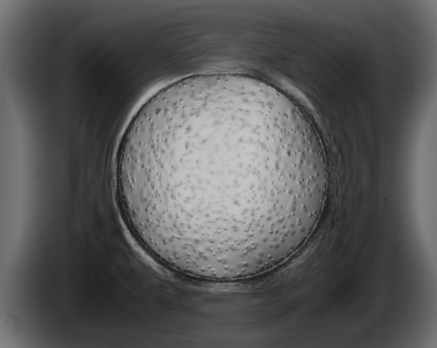 X0000086011479200703230900