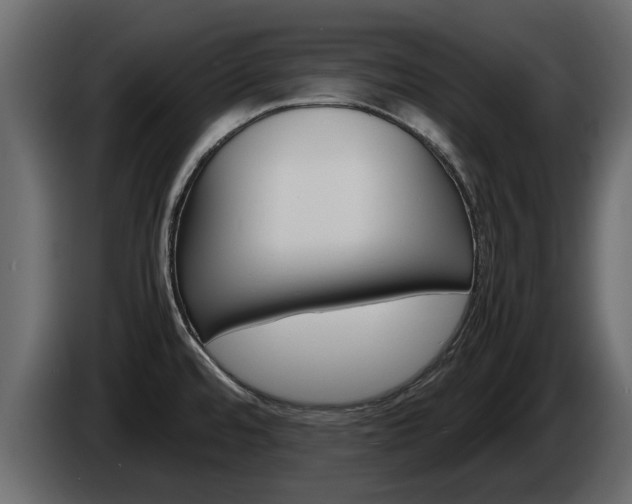X0000086011480200703230900