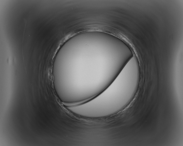 X0000086011481200703230900