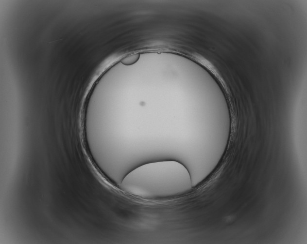 X0000086011482200703230900