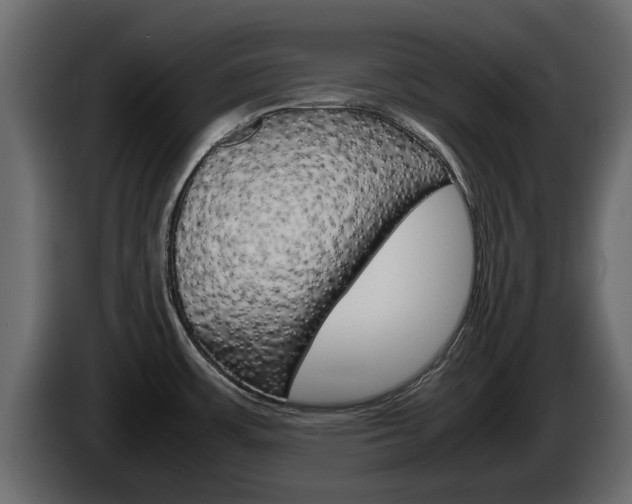 X0000086011483200703230900