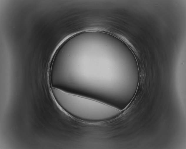 X0000086011484200703230900