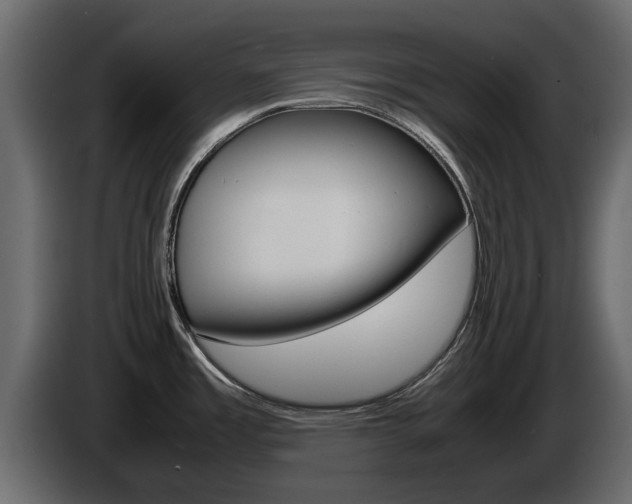 X0000086011485200703230900