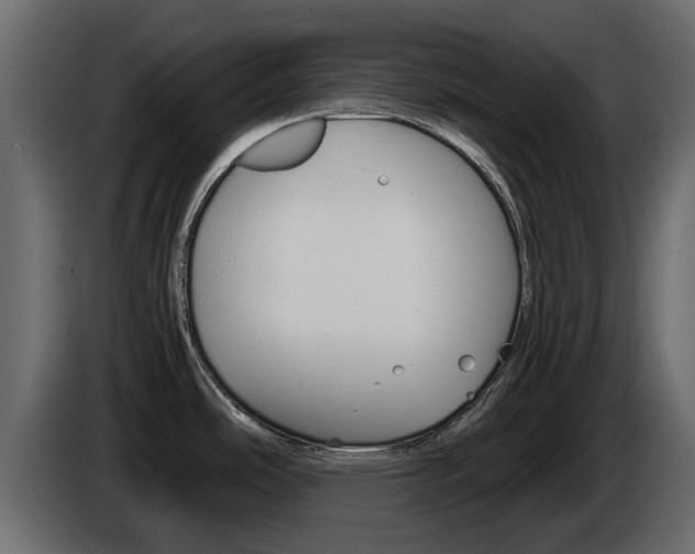 X0000086011486200703230900