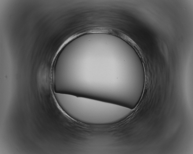 X0000086011487200703230900