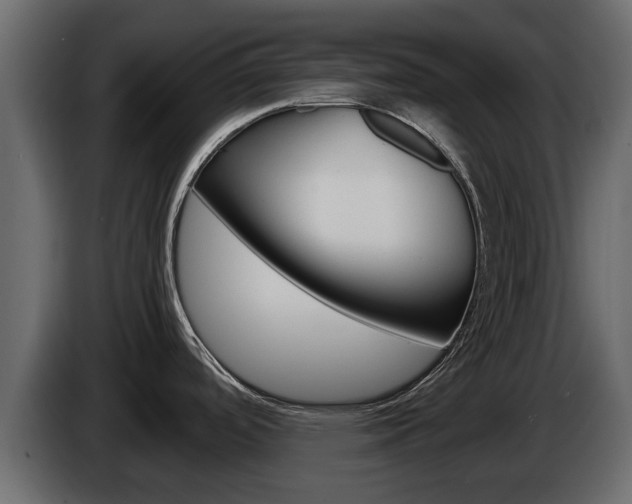X0000086011488200703230900