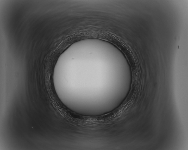 X0000086011489200703230859