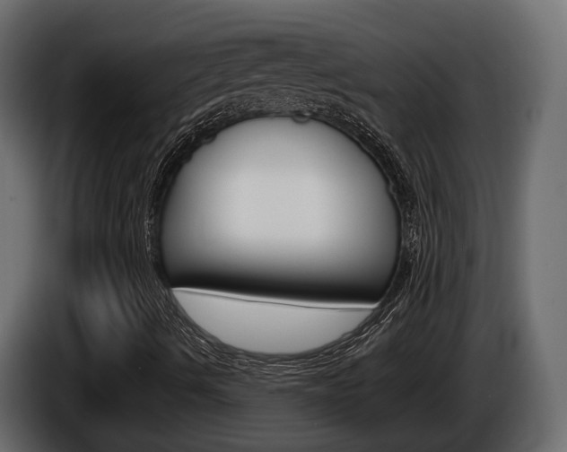 X0000086011490200703230859