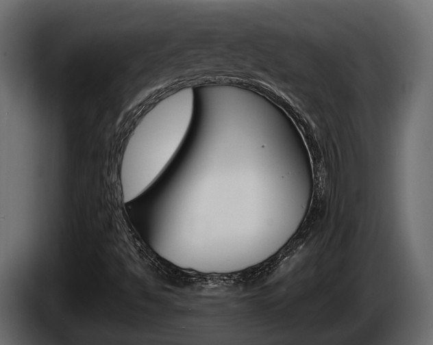 X0000086011494200703230859