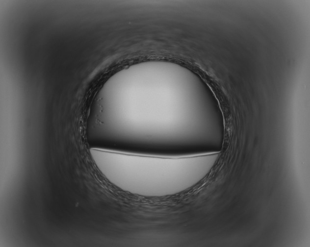 X0000086011495200703230859