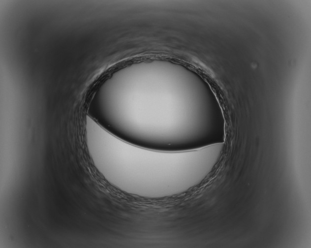 X0000086011496200703230859