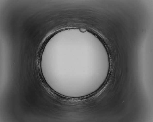 X0000086011498200703230859