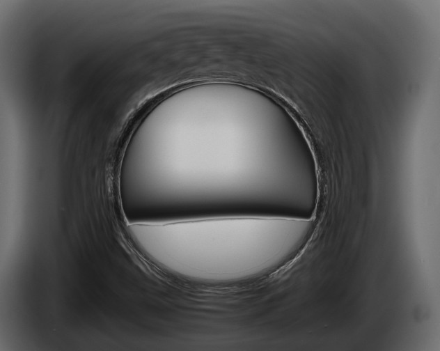 X0000086011499200703230859