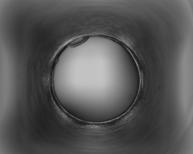 X0000086011500200703230859