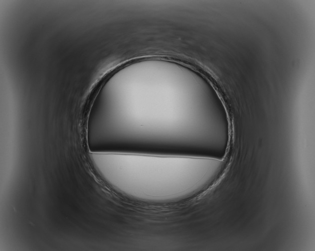 X0000086011501200703230859
