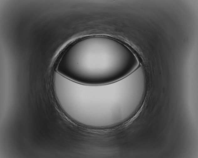 X0000086011502200703230859