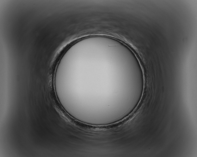 X0000086011503200703230859