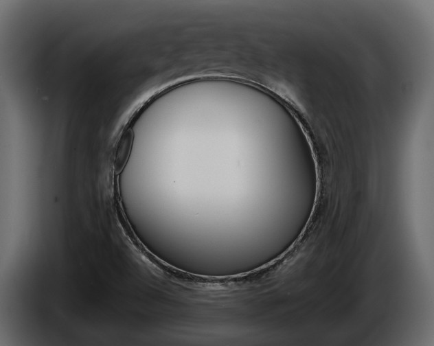 X0000086011504200703230859
