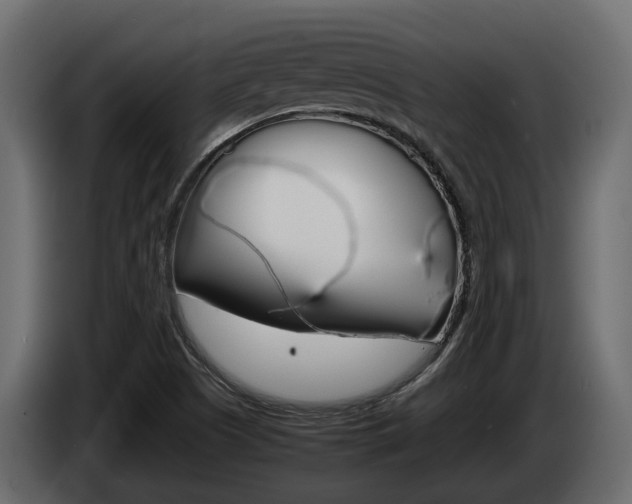 X0000086011505200703230859