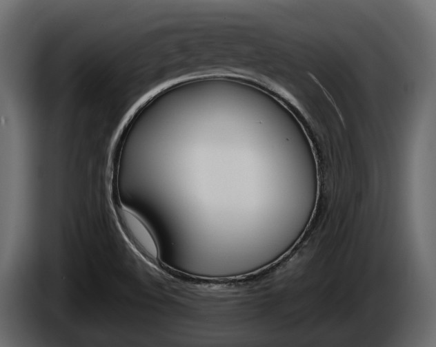 X0000086011508200703230859