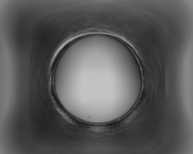 X0000086011511200703230859