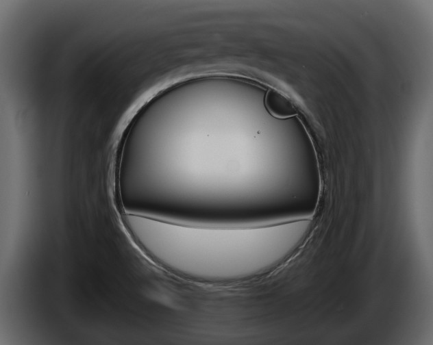 X0000086011512200703230859