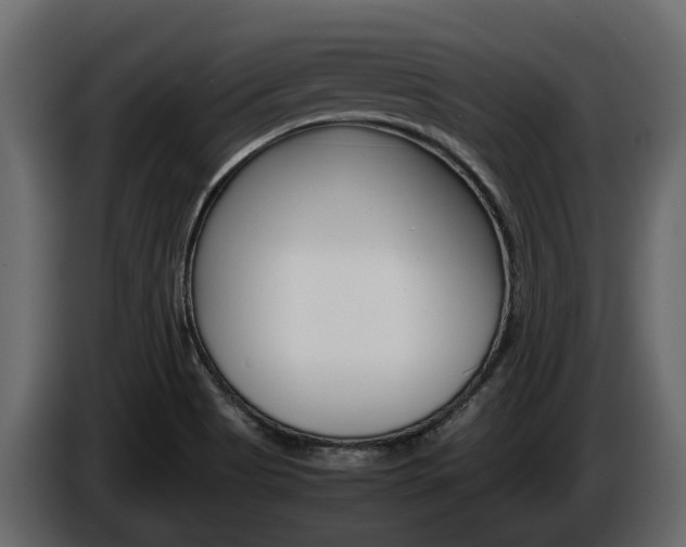 X0000086011513200703230859