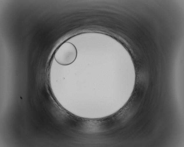 X0000086011514200703230859