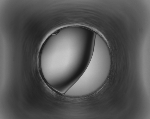 X0000086011516200703230859