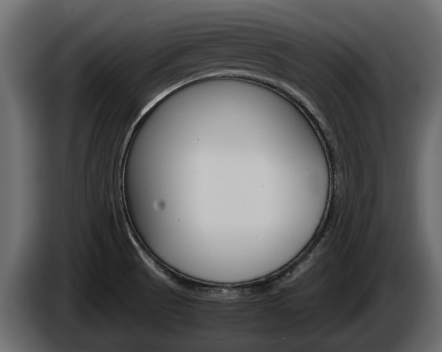 X0000086011521200703230900