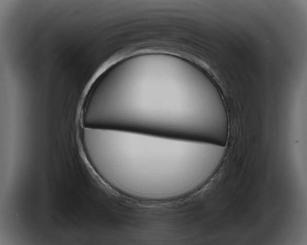X0000086011522200703230900