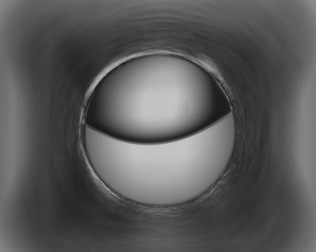 X0000086011524200703230900