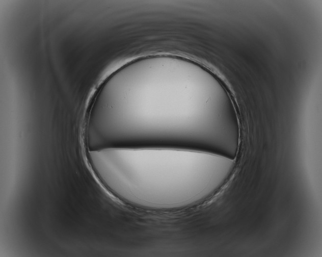 X0000086011525200703230900