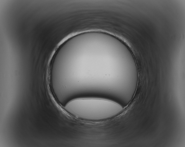 X0000086011526200703230900