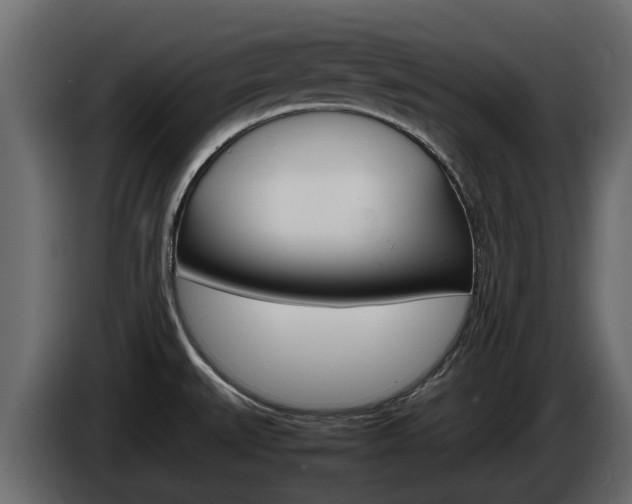 X0000086011527200703230900