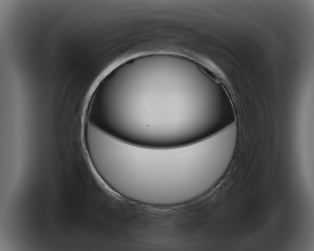 X0000086011528200703230900