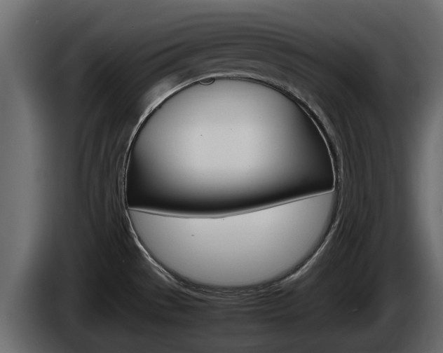 X0000086011529200703230900