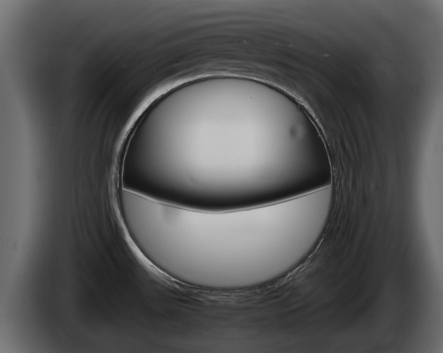 X0000086011531200703230900