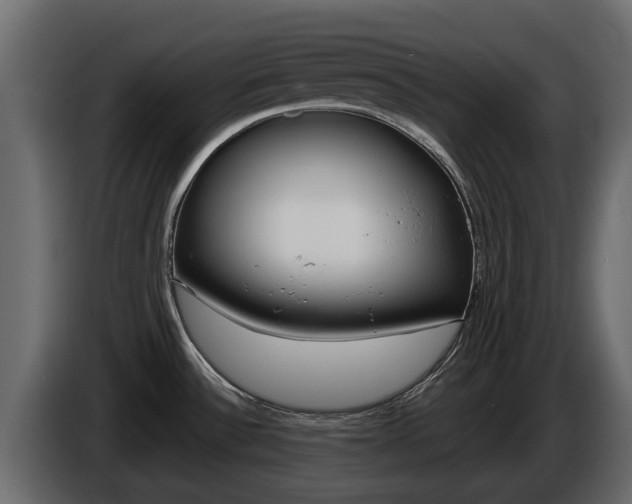 X0000086011532200703230900