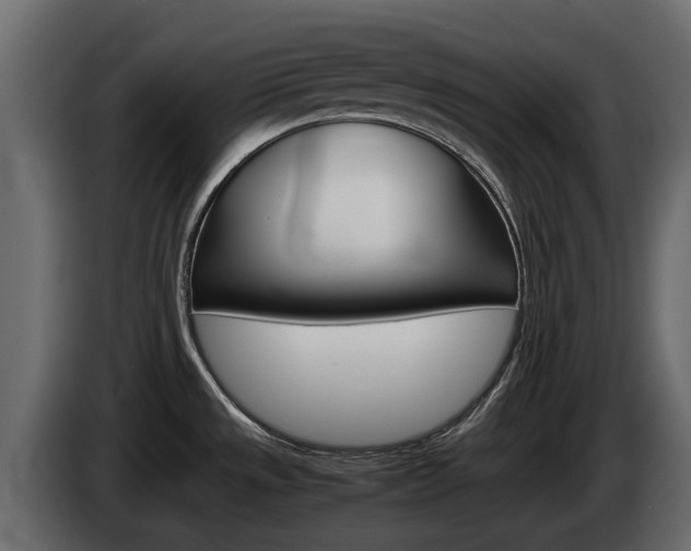 X0000086011533200703230900