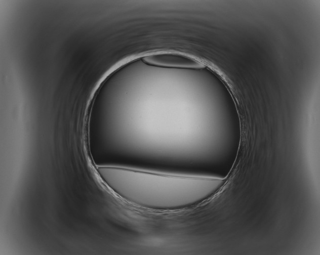 X0000086011534200703230900