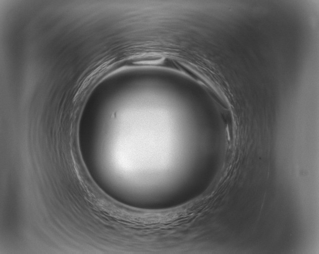 X0000086010001200703231224