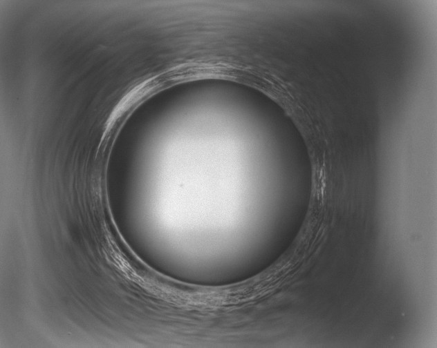 X0000086010004200703231224